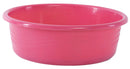 Basin Gina