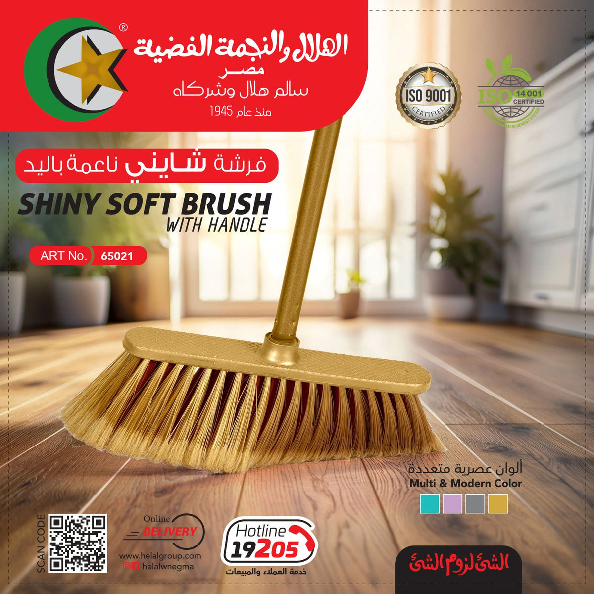 Shiny hand brush