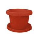 شوالى الحدائق