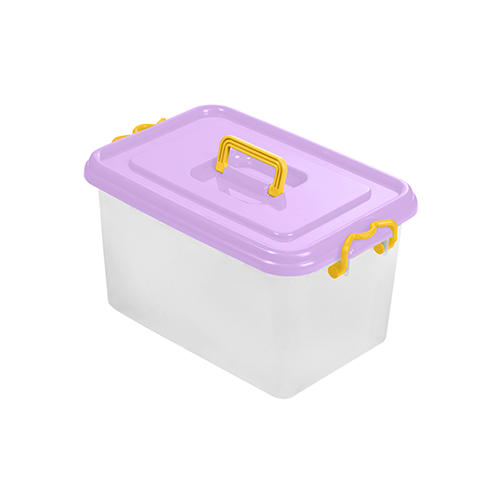 Picnic Box