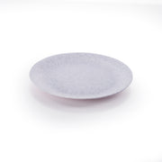 Small Flat Plate Rocky
