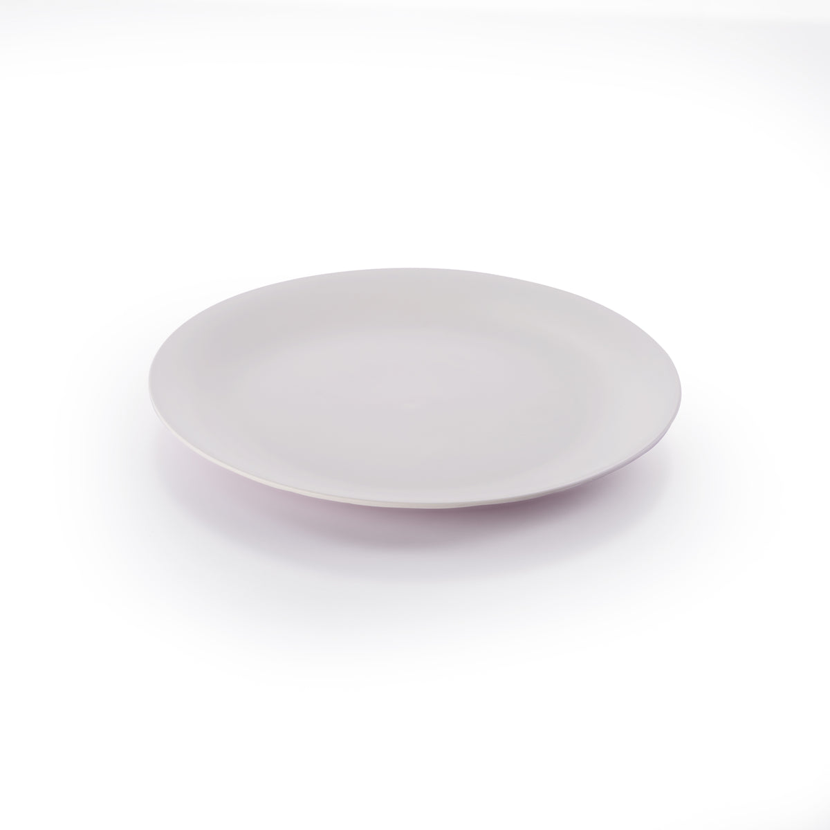 Small Flat Plate Rocky