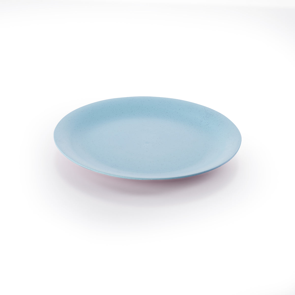 Small Flat Plate Rocky